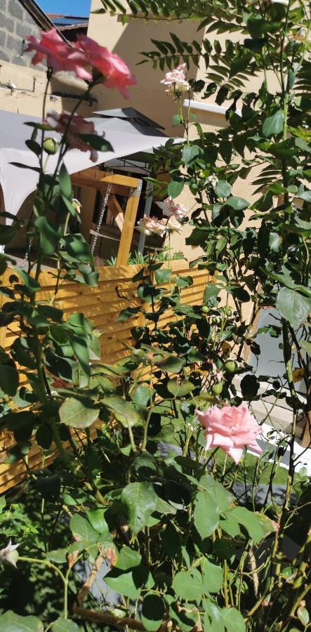 Lyon Superbe Jacuzzi Vue Sur Jardin Leilighet Villeurbanne Eksteriør bilde