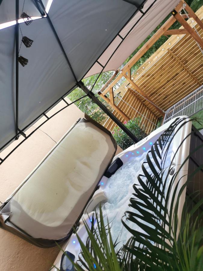 Lyon Superbe Jacuzzi Vue Sur Jardin Leilighet Villeurbanne Eksteriør bilde